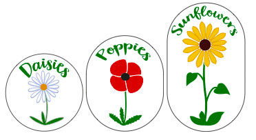 Daisies, Poppies & Sunflowers Daisies, Poppies & Sunflowers